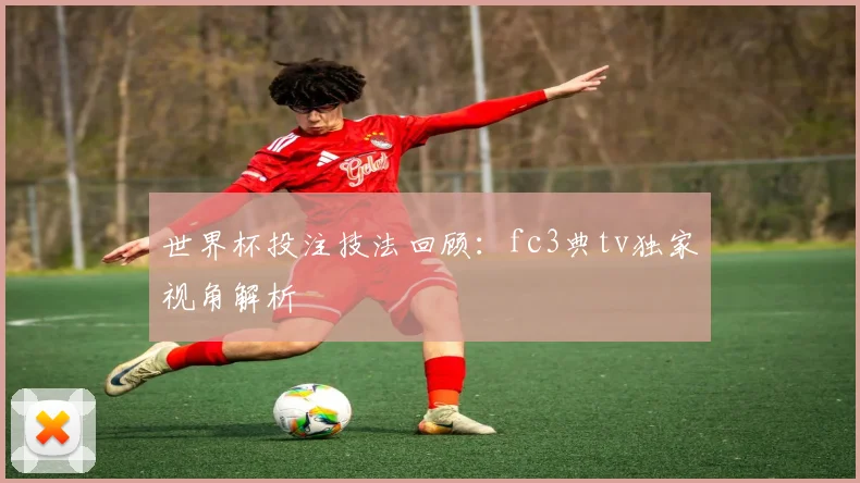 世界杯投注技法回顾：fc3典tv独家视角解析