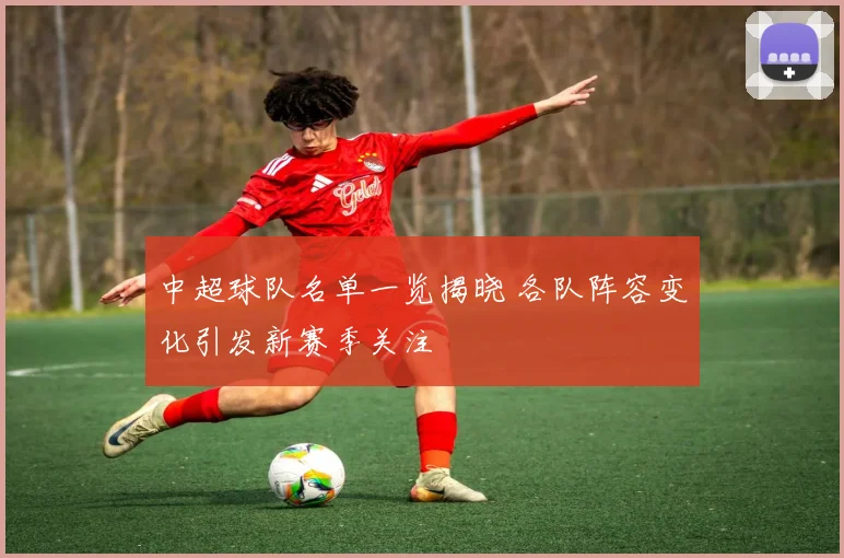 中超球队名单一览揭晓 各队阵容变化引发新赛季关注