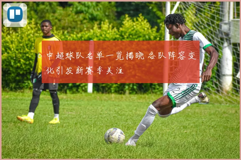中超球队名单一览揭晓 各队阵容变化引发新赛季关注