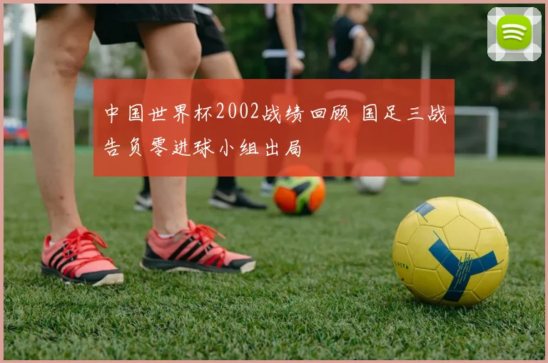 中国世界杯2002战绩回顾 国足三战告负零进球小组出局