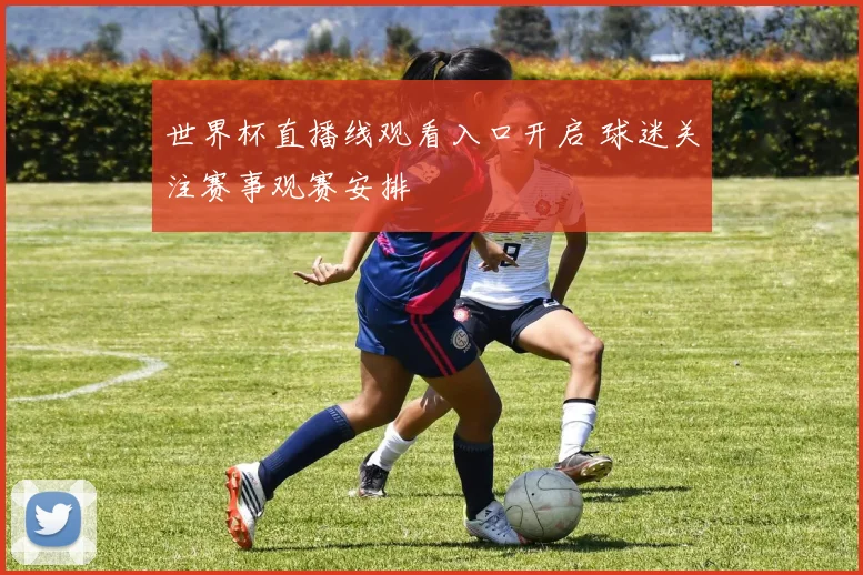 世界杯直播线观看入口开启 球迷关注赛事观赛安排