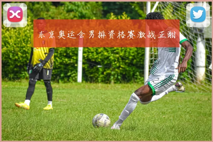 东京奥运会男排资格赛激战正酣