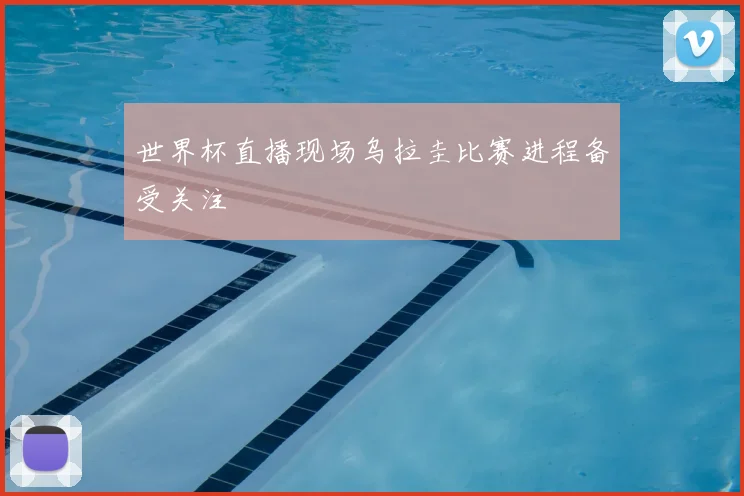 世界杯直播现场乌拉圭比赛进程备受关注
