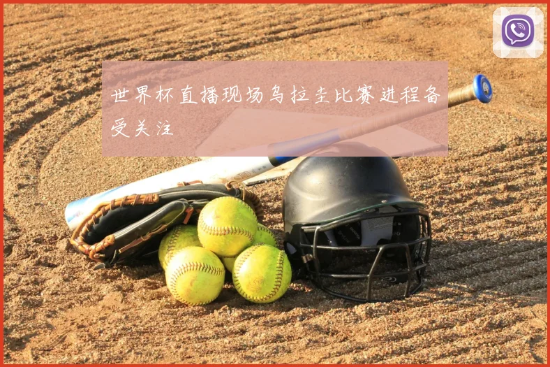 世界杯直播现场乌拉圭比赛进程备受关注