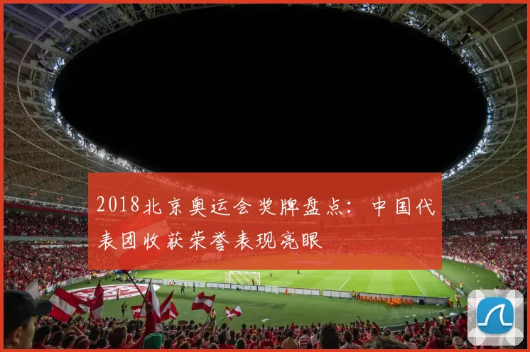 2018北京奥运会奖牌盘点：中国代表团收获荣誉表现亮眼