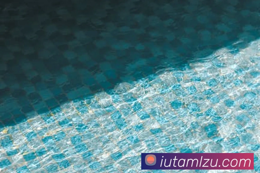 乐竞首页平台生态图